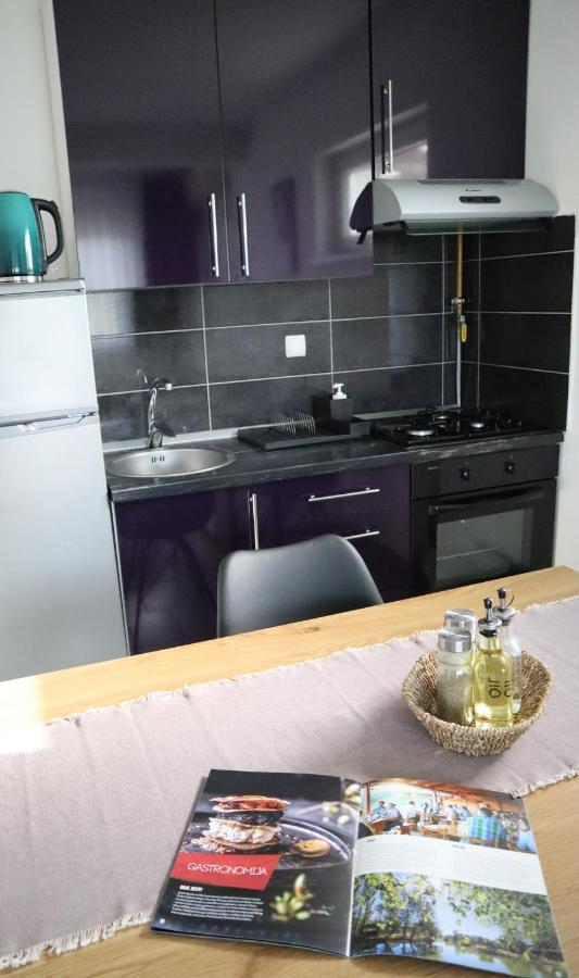 סבטי מרטין נה מורי Apartment Sandra Toplice Sveti Martin מראה חיצוני תמונה